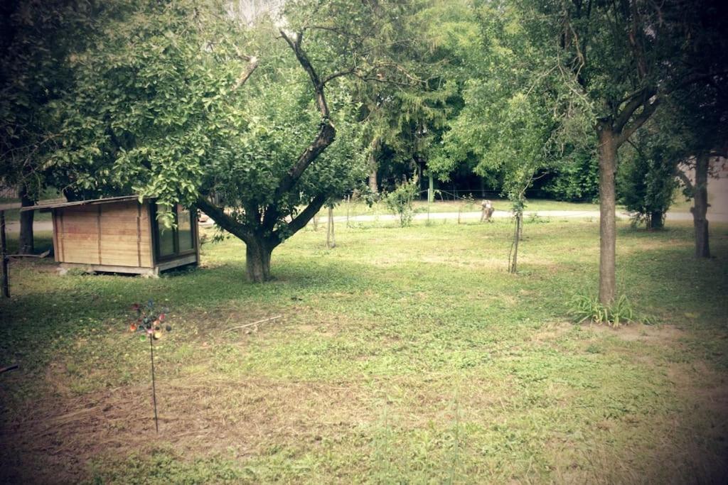 Ferienwohnung Im Gruenen Gottenheim ภายนอก รูปภาพ