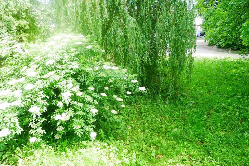 Ferienwohnung Im Gruenen Gottenheim ภายนอก รูปภาพ